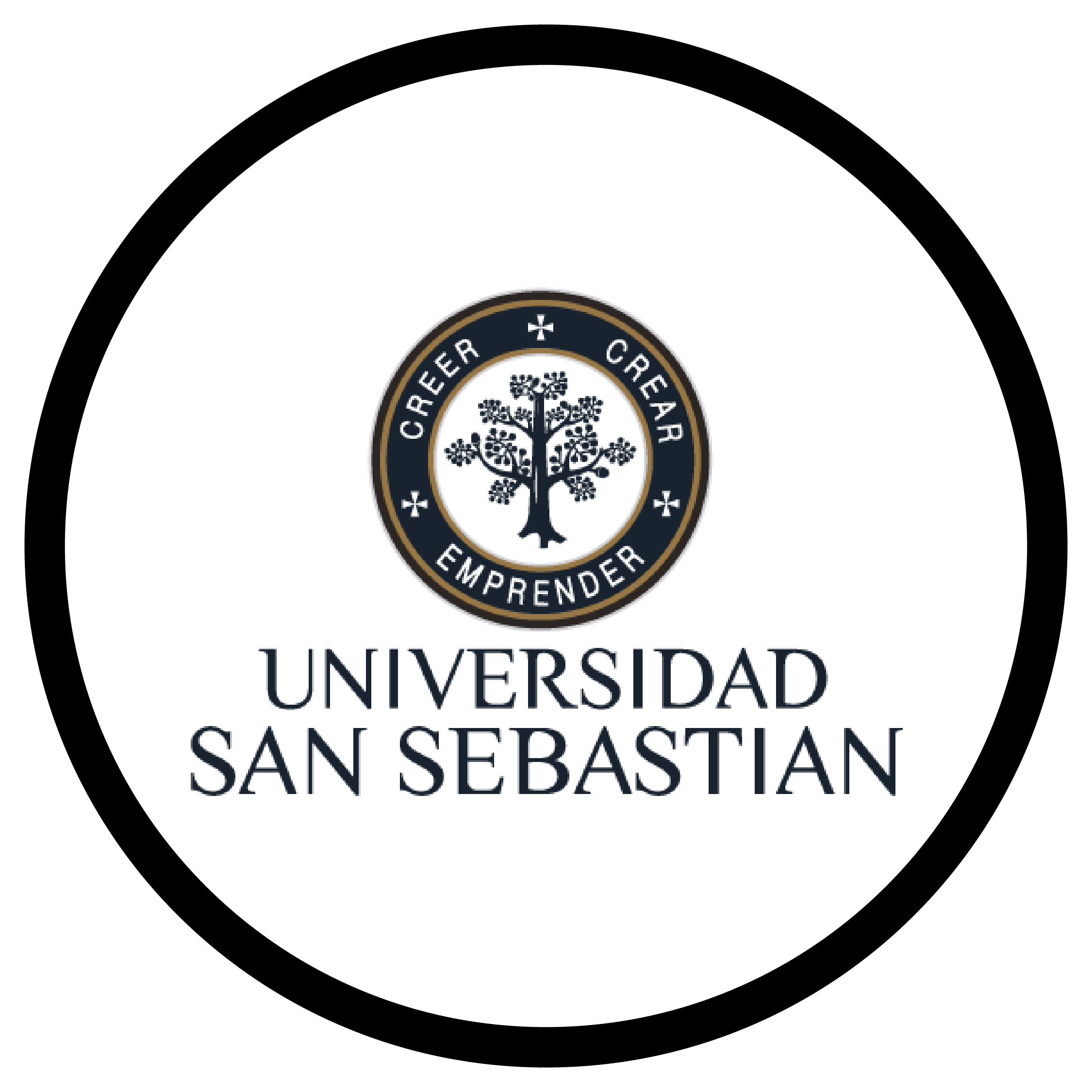 logos_Mesa de trabajo 1 copia 22